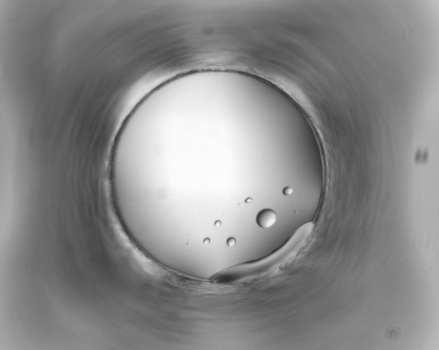 X0000094071440200711021459