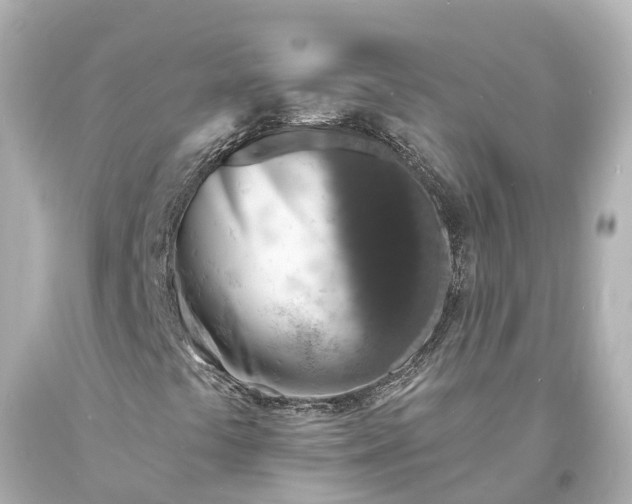 X0000094071441200711021458