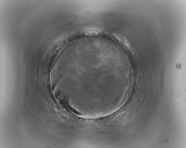 X0000094071445200711021458