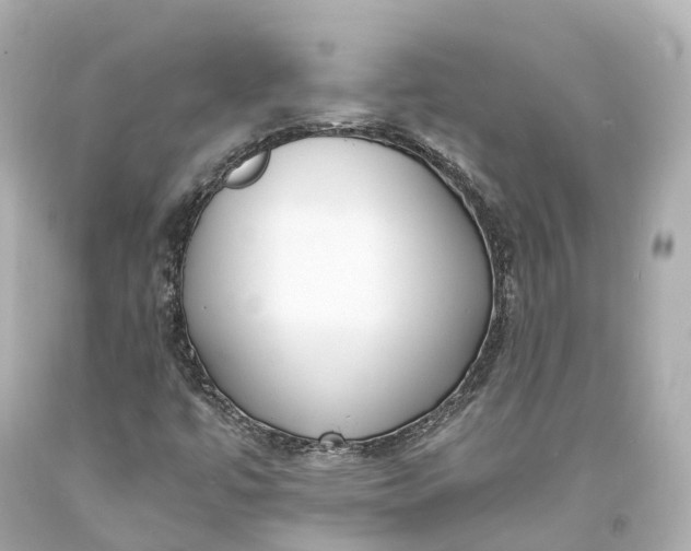 X0000094071447200711021458