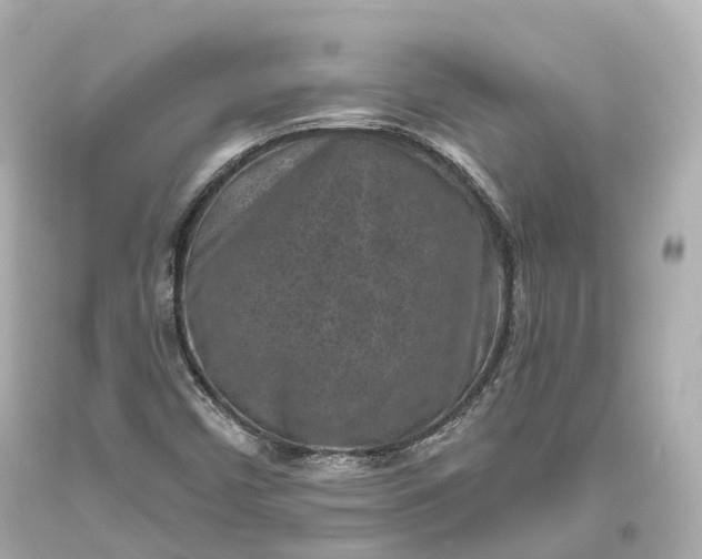 X0000094071450200711021458