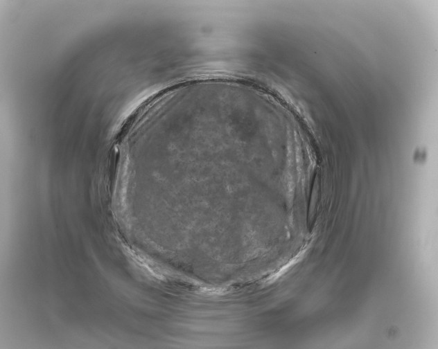 X0000094071453200711021458