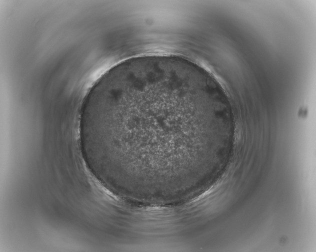 X0000094071459200711021458