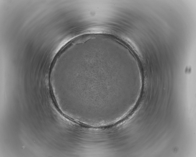 X0000094071465200711021458