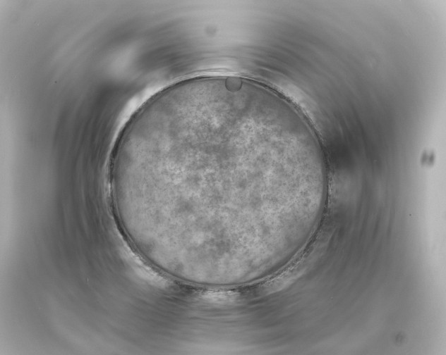 X0000094071466200711021458