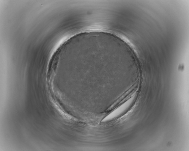 X0000094071469200711021458