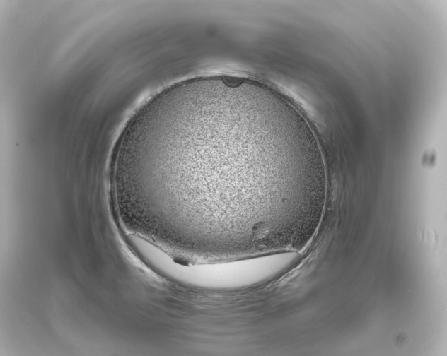 X0000094071471200711021458