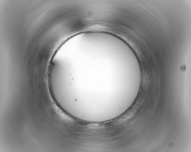 X0000094071478200711021458