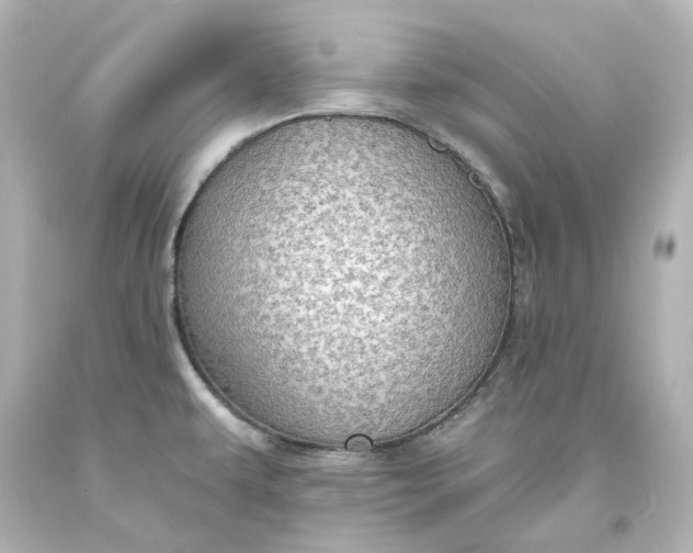 X0000094071479200711021458