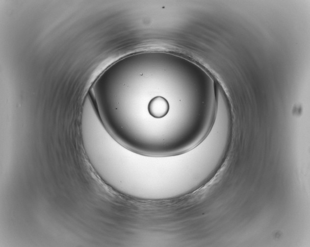 X0000094071481200711021458