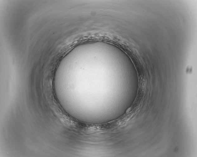 X0000094071489200711021457