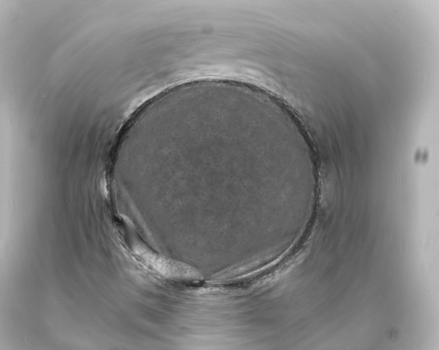 X0000094071497200711021457