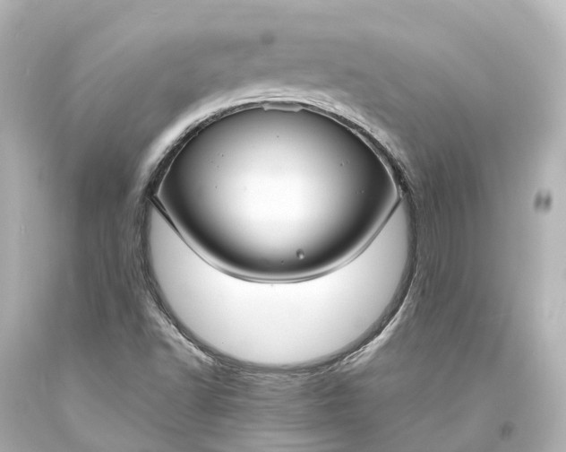 X0000094071502200711021457