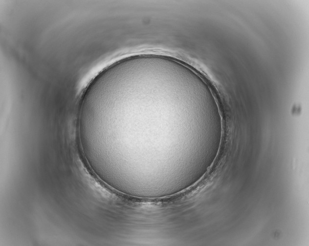 X0000094071504200711021457