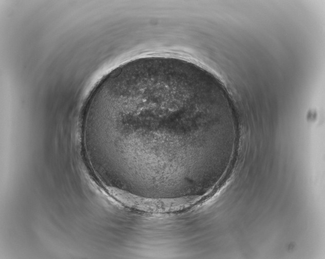 X0000094071506200711021457