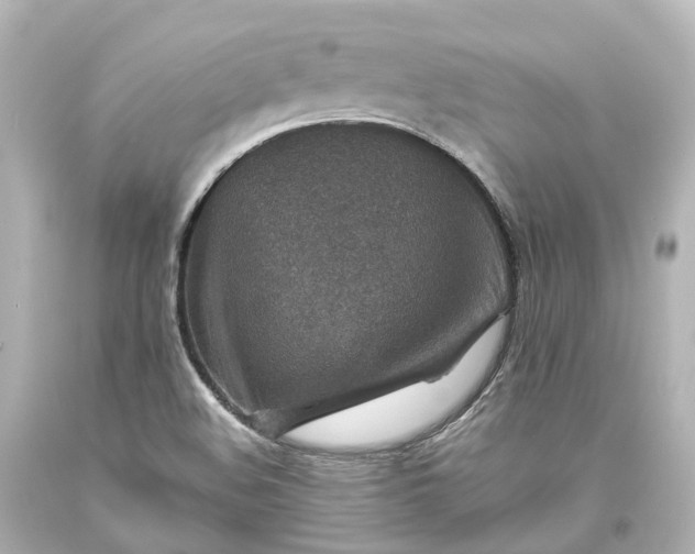 X0000094071508200711021457