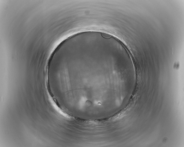 X0000094071515200711021457