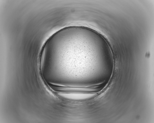 X0000094071517200711021457