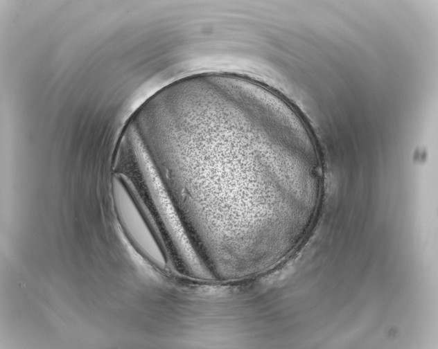 X0000094071521200711021457
