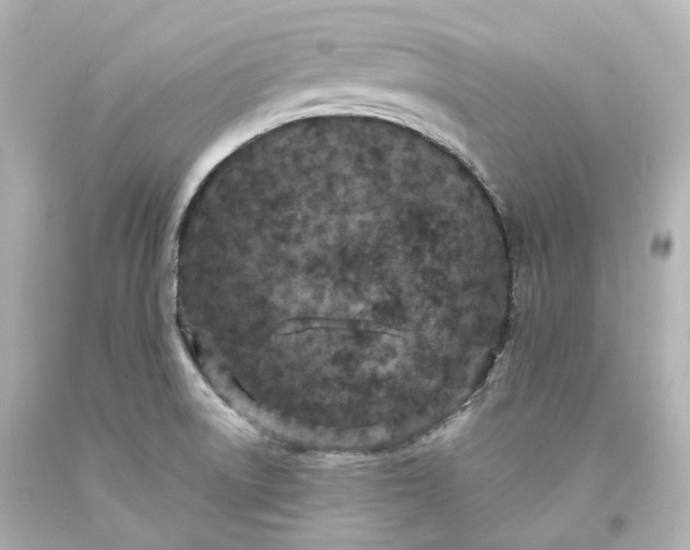 X0000094071522200711021457