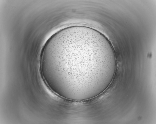 X0000094071523200711021457