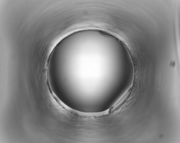 X0000094071524200711021457