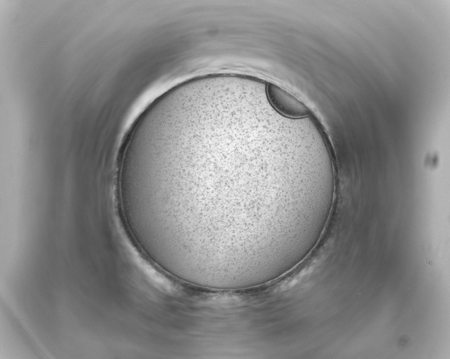 X0000094071525200711021457
