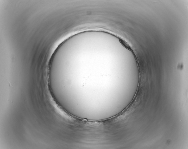X0000094071526200711021457