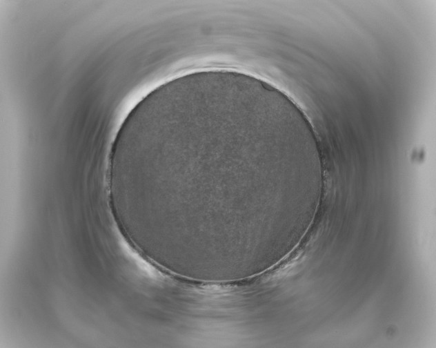X0000094071527200711021457