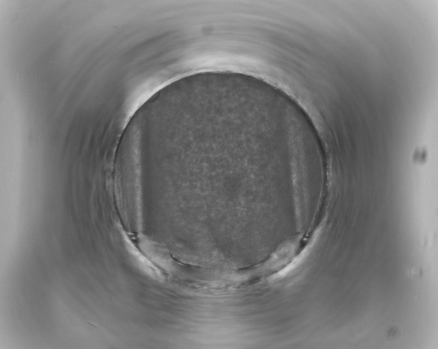 X0000094071529200711021458