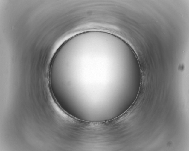 X0000094071531200711021458