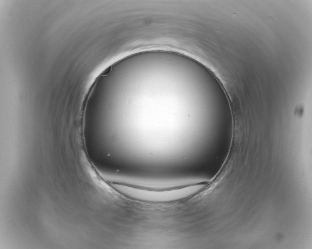 X0000094071534200711021458