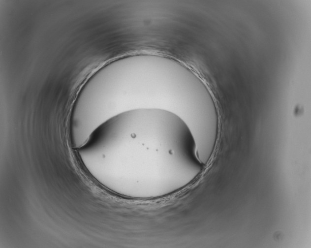 X0000094070001200711091203