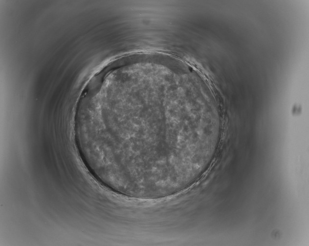 X0000094070002200711091203