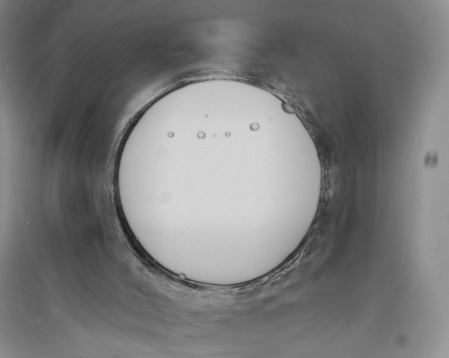 X0000094070004200711091203