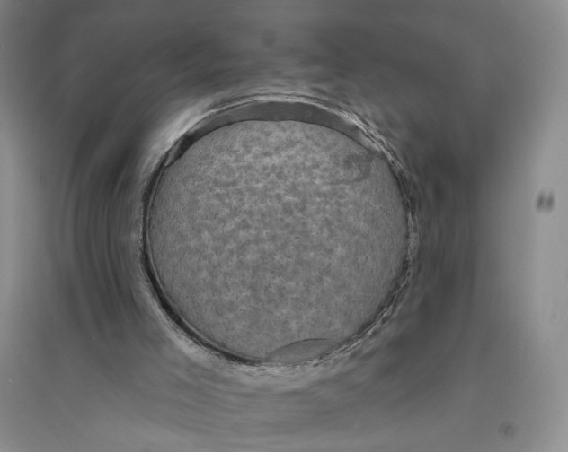X0000094070005200711091203