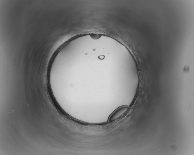 X0000094070008200711091203