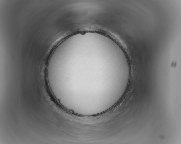X0000094070010200711091203
