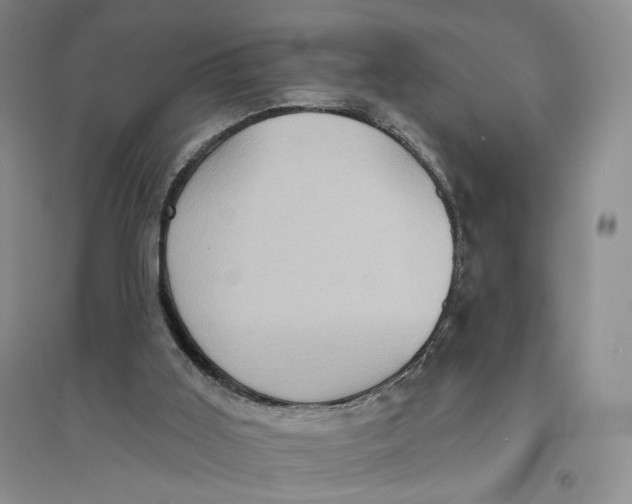 X0000094070011200711091203