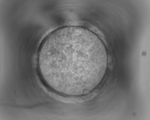 X0000094070012200711091203