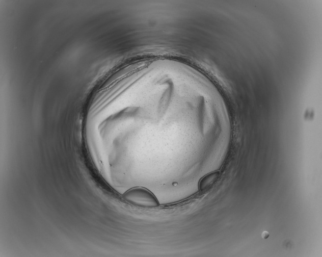 X0000094070014200711091203