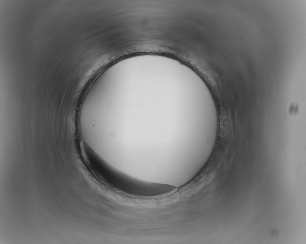 X0000094070015200711091203
