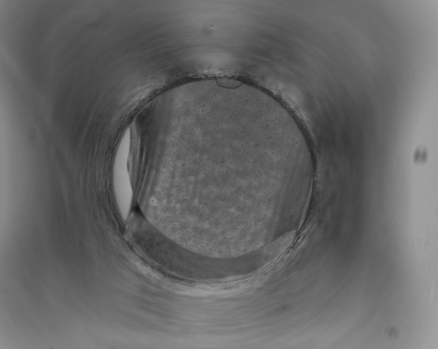 X0000094070017200711091203