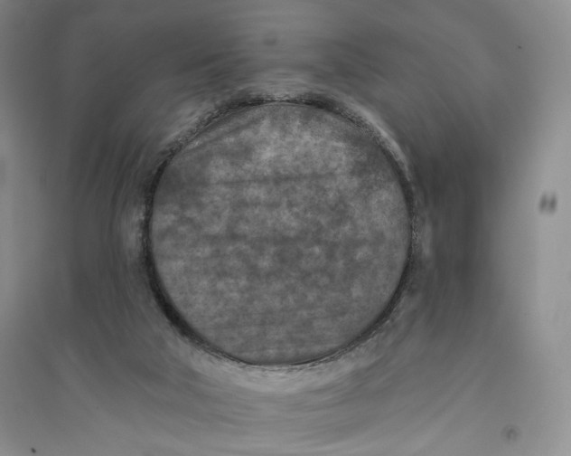 X0000094070018200711091203