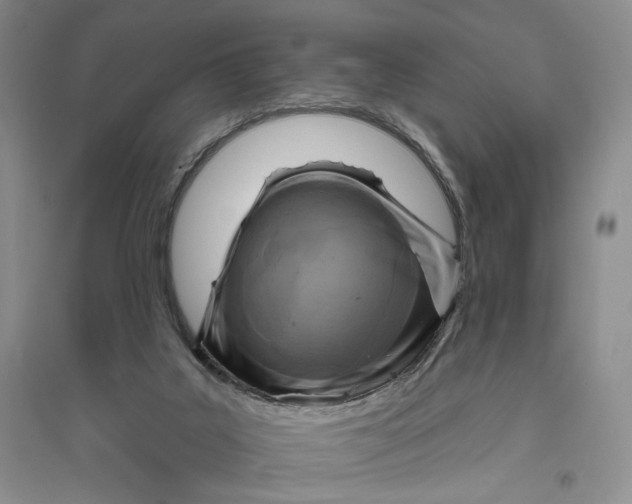 X0000094070019200711091203