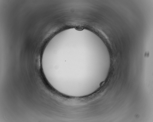 X0000094070020200711091203