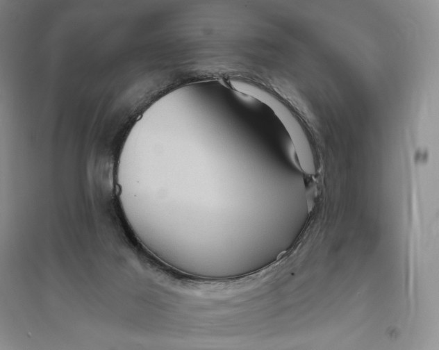 X0000094070021200711091203
