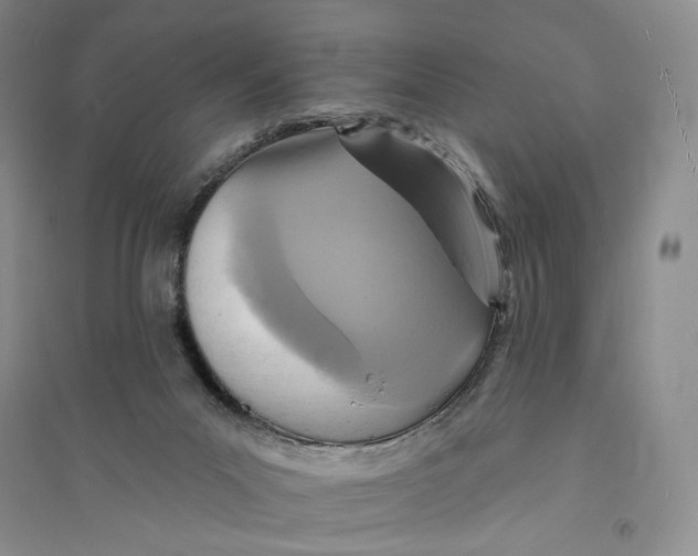 X0000094070023200711091203