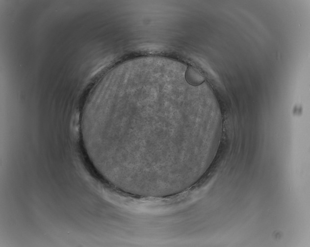 X0000094070024200711091202