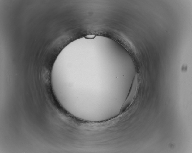X0000094070025200711091202